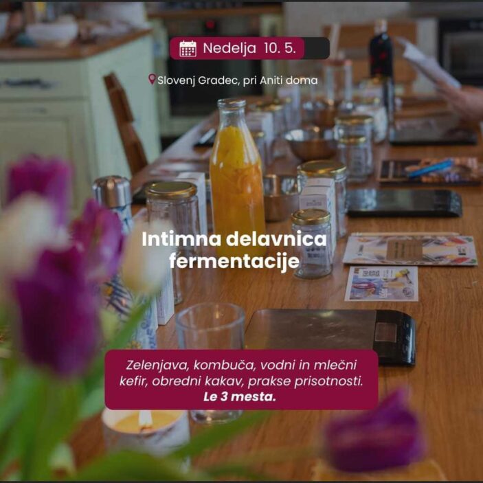 delavnica fermentacija slovenj gradec
