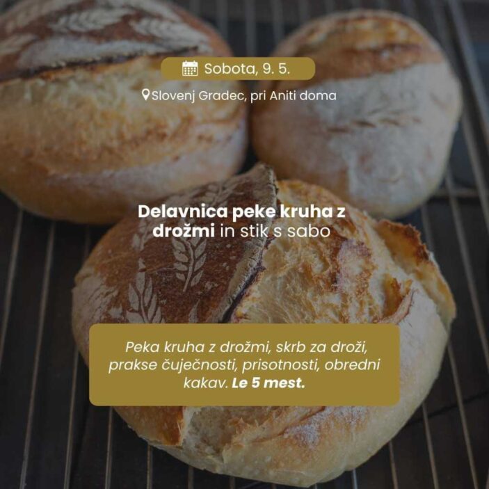 poenostavljeno droženje, drožomanija, SLovenj Gradec