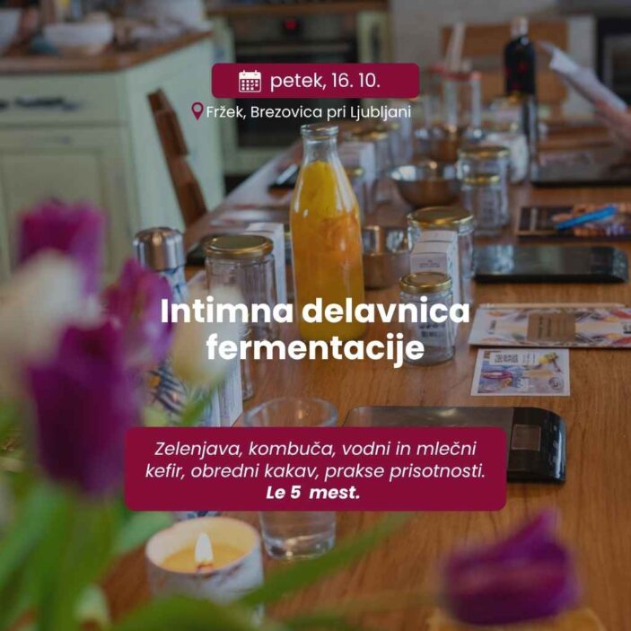 delavnica fermentacije brezovica